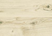 Пробковый пол Corkstyle Wood Glue Oak Virginia White