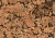Пробковый пол Corkstyle Wall Design Monte Brown